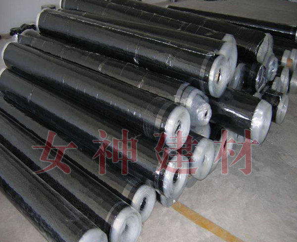 女神防水材料在游泳池建筑的應用 女神防水材料在游泳池建筑的應用